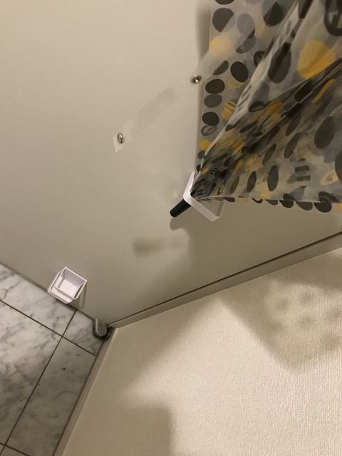 ダイソーの珪藻土傘立て