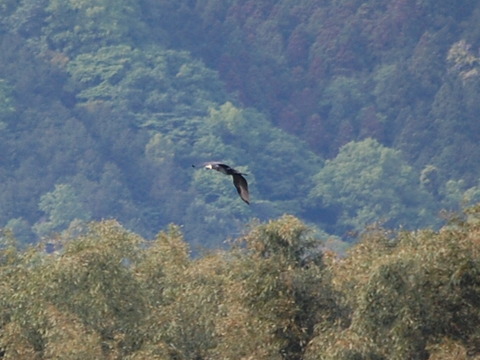 csc_0067
