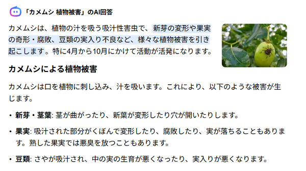 スクリーンショット 2025-11-01 114155