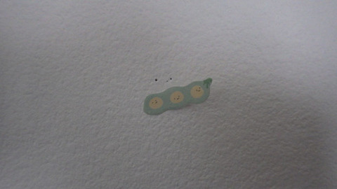 RIMG1710