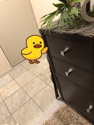 セリアの「フタがとまるケース」