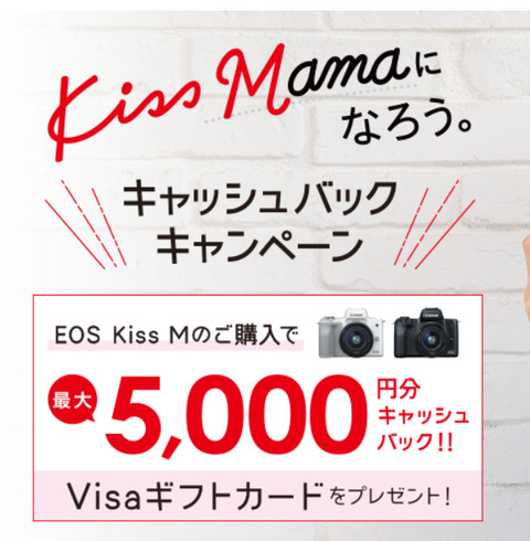 ミラーレスカメラに買い替え