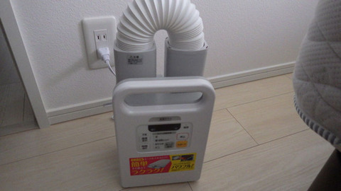 RIMG1310