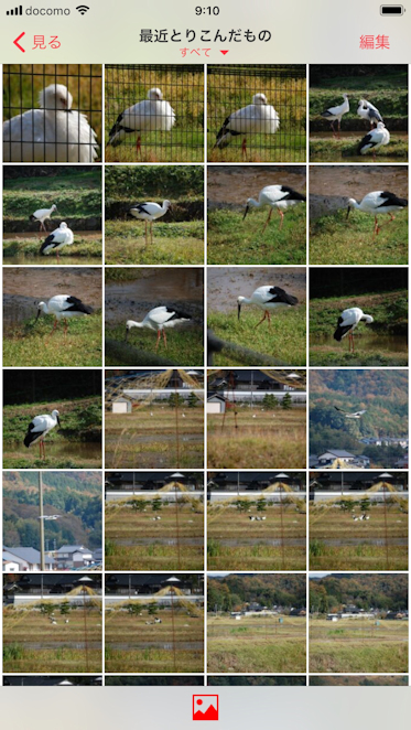 「おもいでばこ」で写真整理