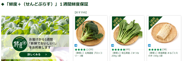 スクリーンショット 2024-10-26 192806