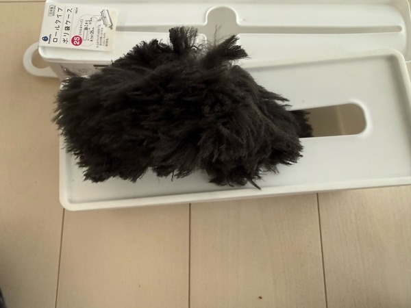 FullSizeRender