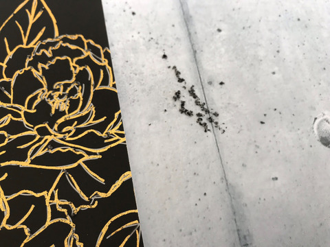 ダイソーの「スクラッチアート」