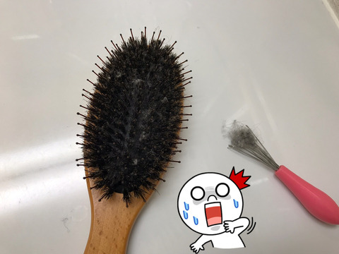 ヘアーブラシクリーナー