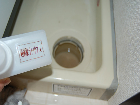 洗濯排水口の掃除
