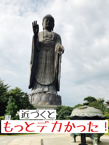 RAJAのブルブルマシーン