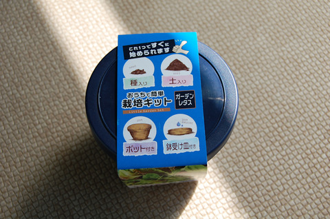 おうちで簡単「栽培キット」