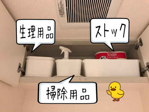 洗濯機の排水口掃除の続きとトイレ掃除