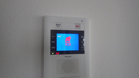 RIMG1230