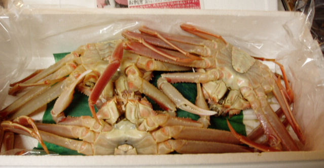 冷蔵庫3