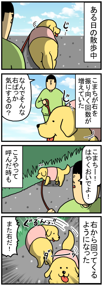 こまち闘病記１ ある日こまちに異変が起きた まめきちまめこニートの日常 Powered By ライブドアブログ