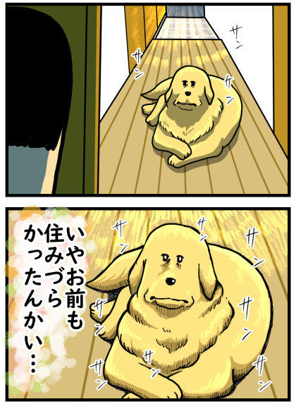 病気のせいで瞳孔が開いたままになった犬に気を使った結果 まめきちまめこニートの日常 Powered By ライブドアブログ 病気のせいで瞳孔が開いたままになった犬に気を使った結果 まめきちまめこニートの日常 Powered By ライブドアブログ