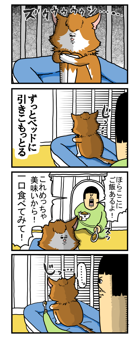 捨て猫2-1