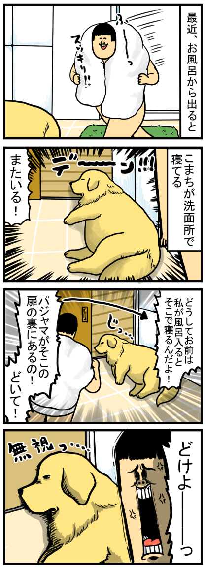 散歩 ご飯のほかに新たなルーティンを生み出した犬 まめきちまめこニートの日常 Powered By ライブドアブログ