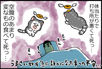 日々うるさい猫が急に静かになった時の不安すごい まめきちまめこニートの日常 Powered By ライブドアブログ 日々うるさい猫が急に静かになった時の不安すごい まめきちまめこニートの日常 Powered By ライブドアブログ