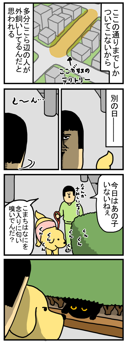 通りすがりのニートと大型犬で遊ぶ猫 まめきちまめこニートの日常 Powered By ライブドアブログ