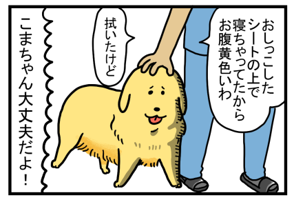 こま1-2