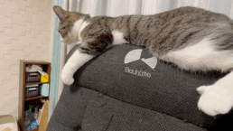 FD0C1412-AAA4-494F-9758-49803CDB59E0