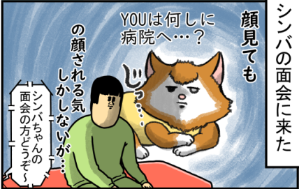シンバが２日入院したからお見舞いに行った結果 まめきちまめこニートの日常 Powered By ライブドアブログ