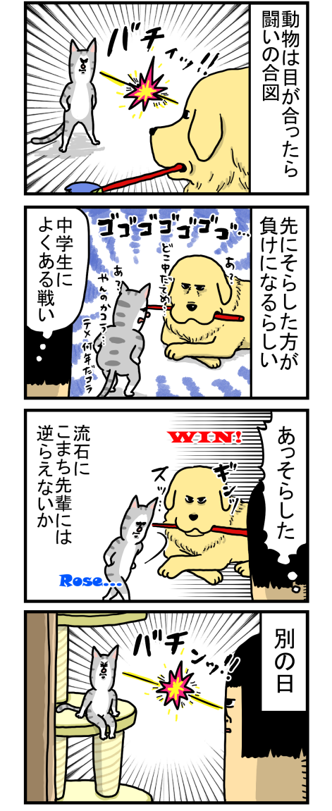 20190709-1