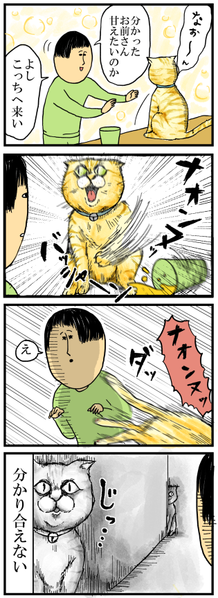 57-1私と猫