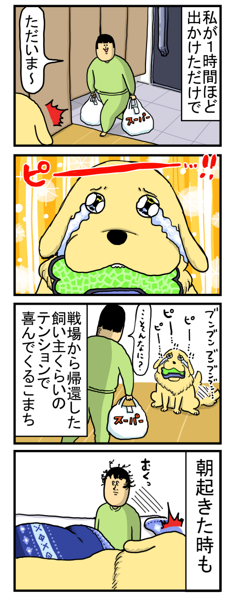 一日に嬉しいことがたくさんある犬さん まめきちまめこニートの日常 Powered By ライブドアブログ
