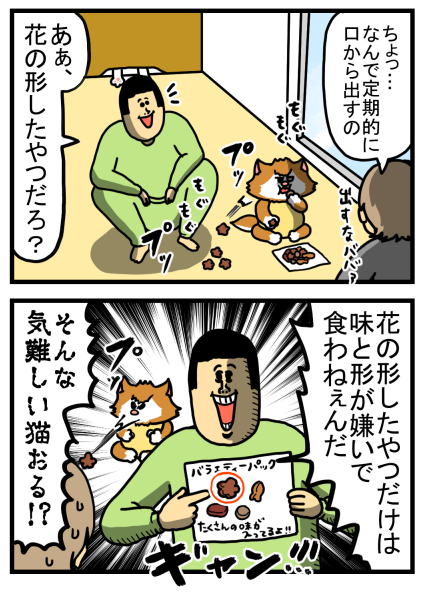 この世で最も食にうるさいソムリエ猫 まめきちまめこニートの日常 Powered By ライブドアブログ