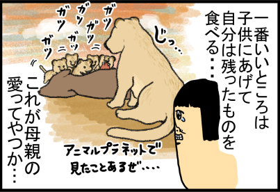 アニマルプラネットで見た世界が我が家にもあった まめきちまめこニートの日常 記事コメント 1 Powered By ライブドアブログ