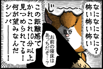 シンバはあまり要求してこないので分かりにくい まめきちまめこニートの日常 Powered By ライブドアブログ