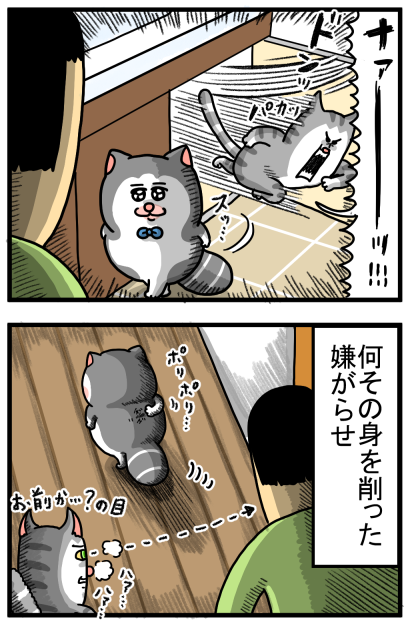 20250125-3