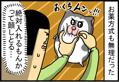 猫にサプリを飲ませるの、そんな楽だったんだ : まめきちまめこニート