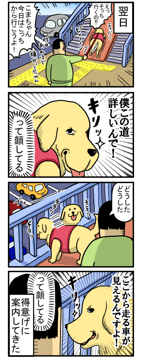 犬の散歩ルートを変えたらね まめきちまめこニートの日常 Powered By ライブドアブログ
