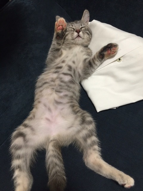 2016-09-09-19-10-10
