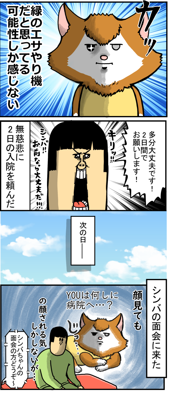 シンバが２日入院したからお見舞いに行った結果 まめきちまめこニートの日常 Powered By ライブドアブログ
