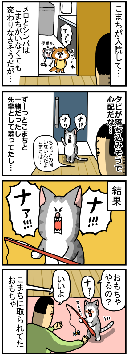 こまち病院日記11-1