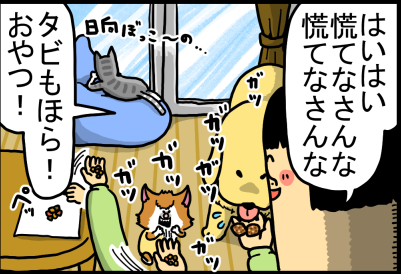 タビの優雅な猫感すごいけど奴もまた捨て猫だった まめきちまめこニートの日常 記事コメント 1 Powered By ライブドアブログ