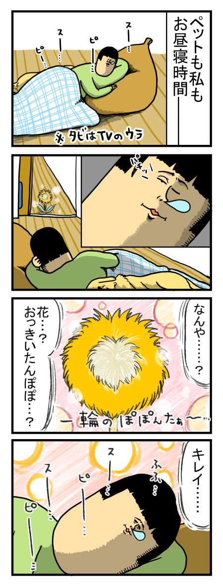 シンバはあまり要求してこないので分かりにくい まめきちまめこニートの日常 Powered By ライブドアブログ