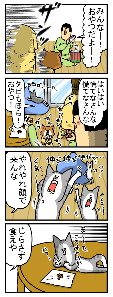 タビの優雅な猫感すごいけど奴もまた捨て猫だった まめきちまめこニートの日常 Powered By ライブドアブログ