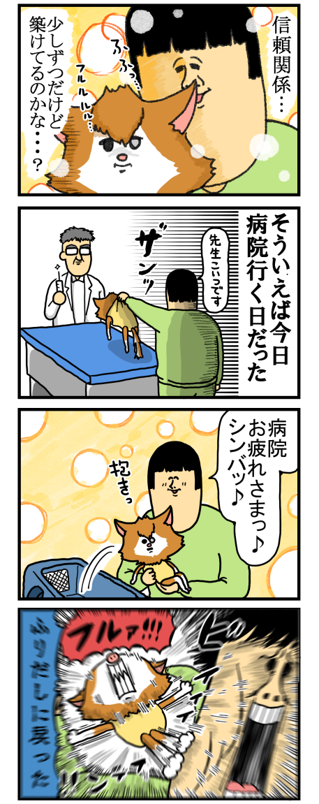 まめきちまめこ シンバ 種類