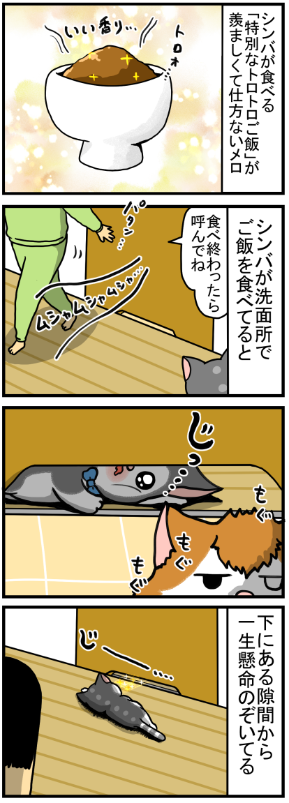 食いしん坊猫の夢はトロトロご飯を腹いっぱい食べること まめきちまめこニートの日常 Powered By ライブドアブログ