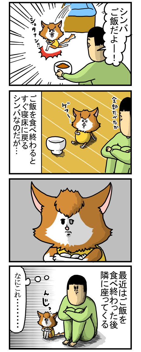 最近シンバがハマってる謎の青春タイム まめきちまめこニートの日常 Powered By ライブドアブログ