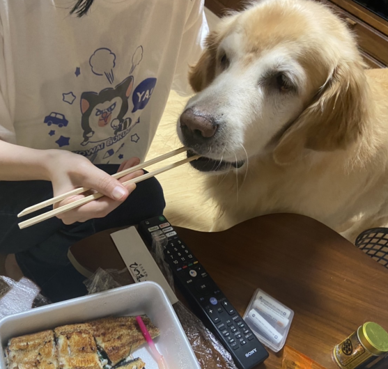 ｺﾏ1-25