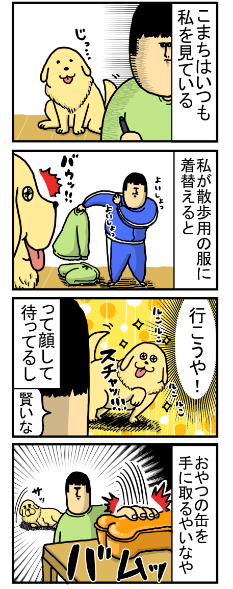 犬は常に飼い主の行動を見て考えている まめきちまめこニートの日常 Powered By ライブドアブログ