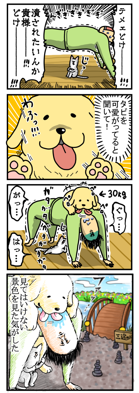リングフィットアドベンチャーでモンスターと闘ったよ まめきちまめこニートの日常 Powered By ライブドアブログ リングフィットアドベンチャーでモンスターと闘ったよ まめきちまめこニートの日常 Powered By ライブドアブログ