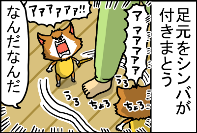 3日目くらいでやっと気づいた事実 : まめきちまめこニートの日常