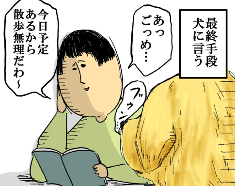 t62.png
